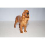 Beswick primula Cocker spaniel