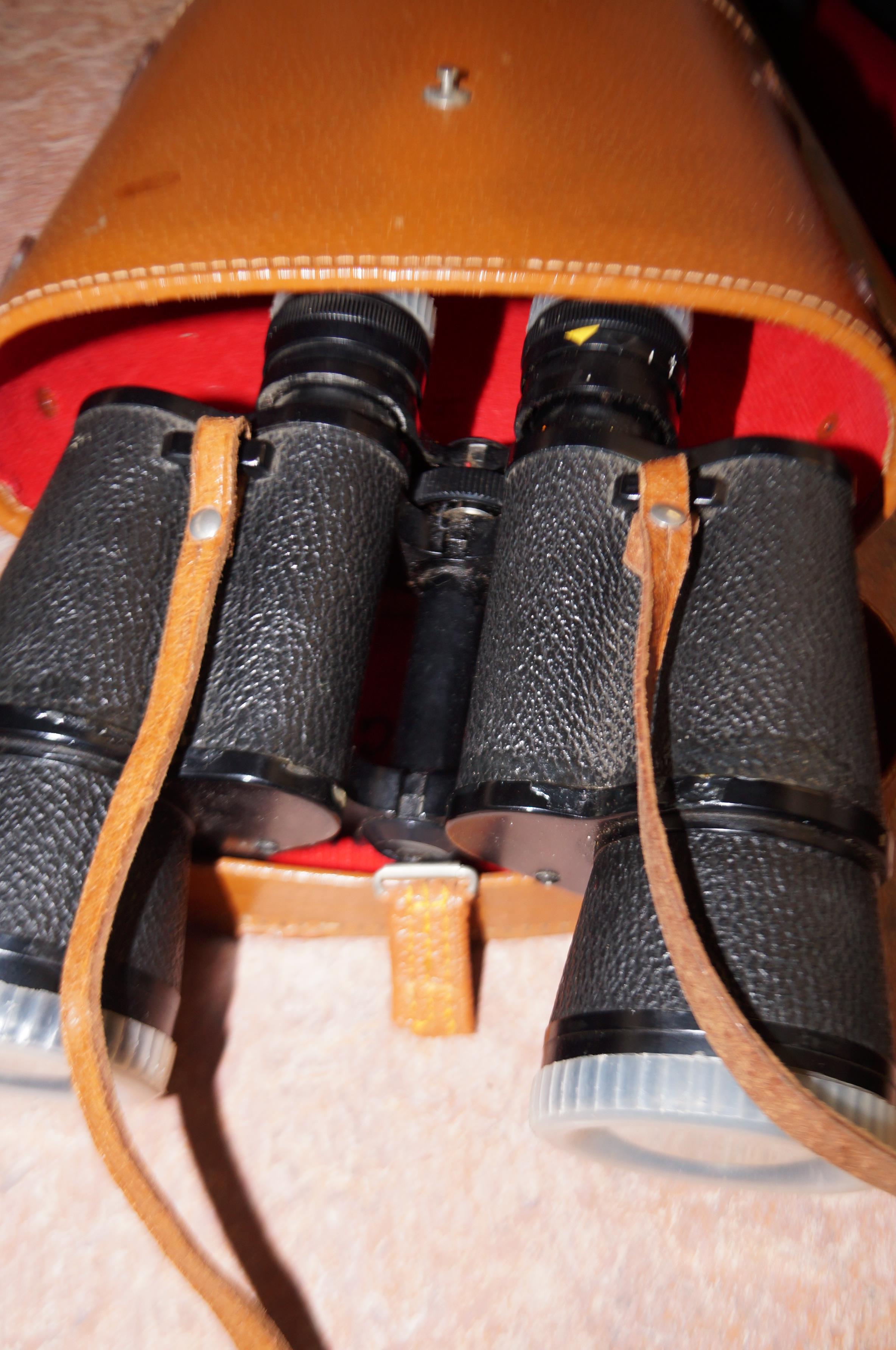 Cased set of binoculars