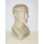 Crackle glaze phrenology bust of large size propor