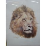 Framed print titled ' African king ' by Guy Cohele