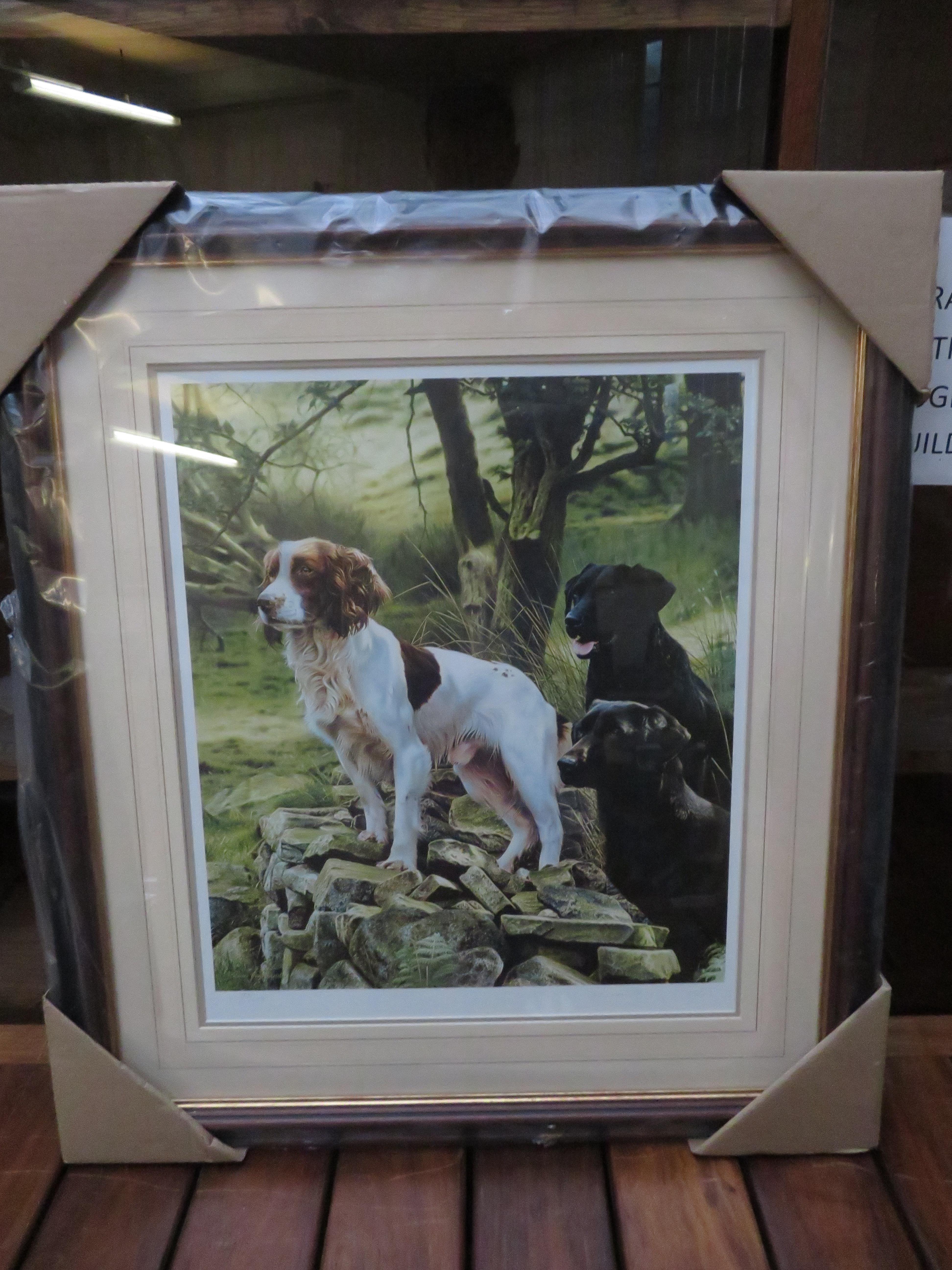 Framed limited edition print by Steven Townsend si