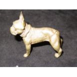 Bronze french bulldog