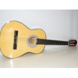 Berkeley acoustic guitar with soft case