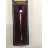 A cased stick pin