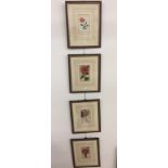 A set of four early hand-coloured botanical engravings,