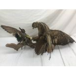 A taxidermy of a buzzard with a teal in its mouth