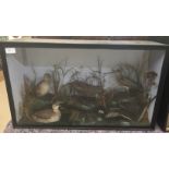 A cased taxidermy of birds to inc a water rail,