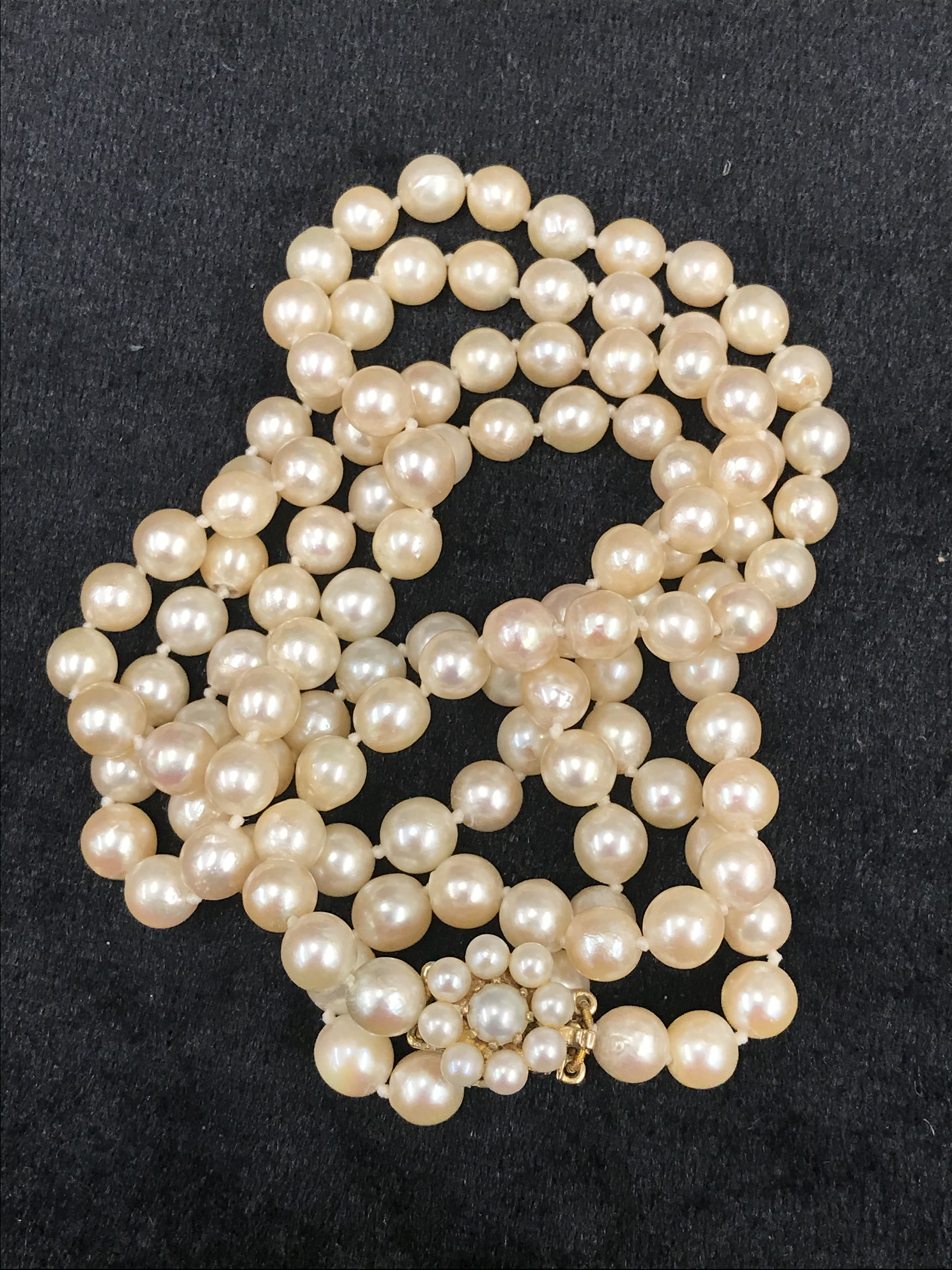 A 9ct pearl clasped pearl necklace