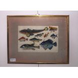 A 19th century Chinese watercolour depicting a numerous studies of fish species,