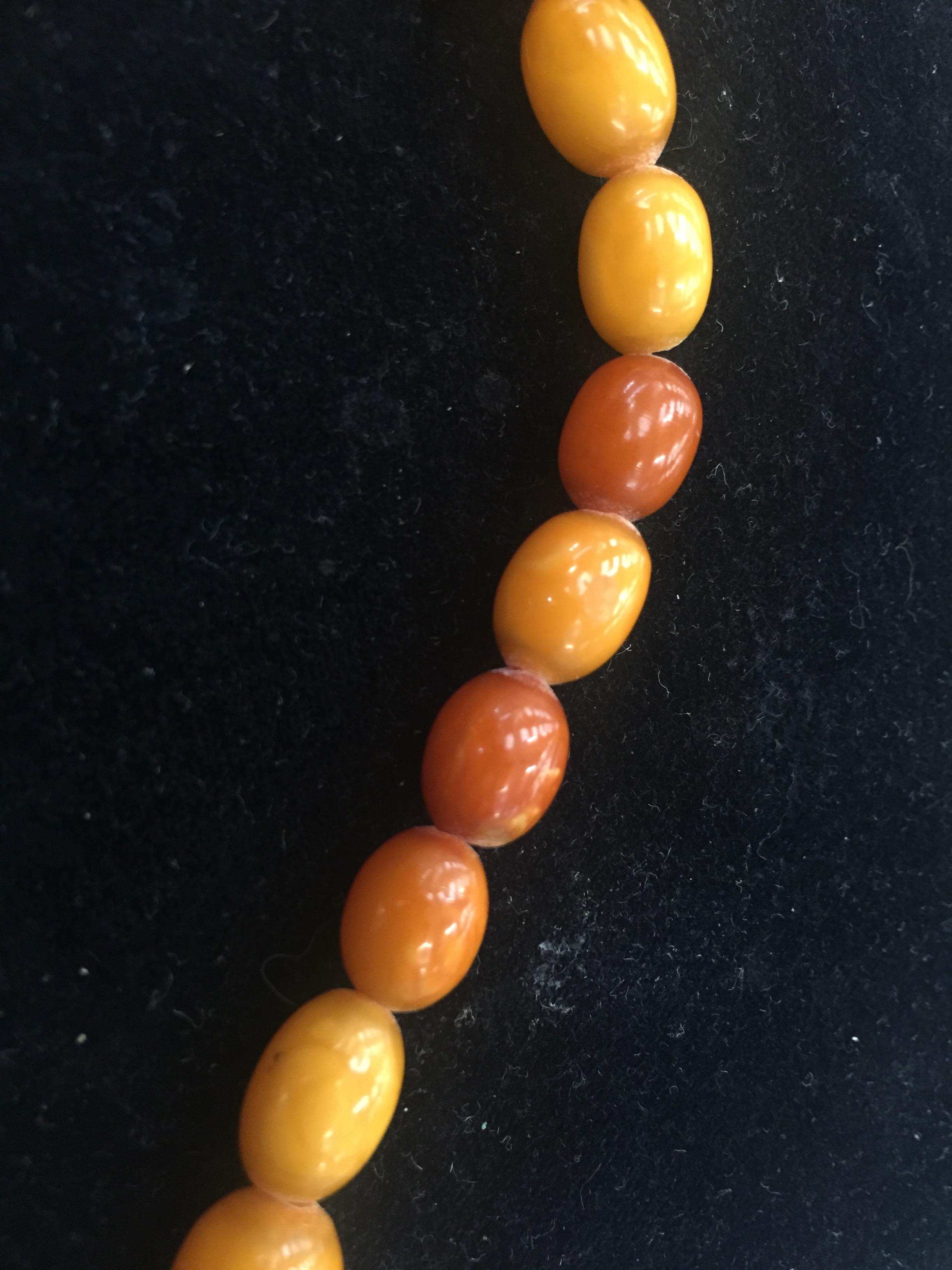 A barrel bead butterscotch amber necklace - Image 4 of 7