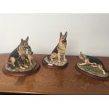 Three Border Fine Arts of german shepherds by Margaret Turner MT06,