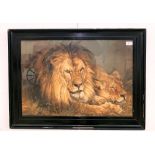 A colour print depicting a lion & lioness, in ebonised frame,