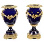 A Pair of 19th Century Gilt Brass Mounted Vases: The vases adorned with grape and vine surrounds,