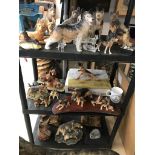 Two shelves of German Shepherds