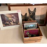 A box of pictures depicting German Shepherds