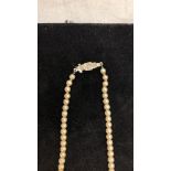 A 9ct gold diamond set clasp single strand of encrusted pearls