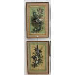 Two original Indian gouache studies in the traditional style depicting birds amongst branches,