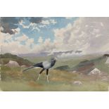 Attributed to John Cyril Harrison (British, 1898-1985): Study of an exotic bird in a landscape,