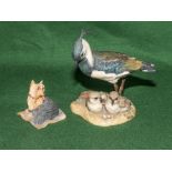 A Border Fines Arts Yorkshire terrier and a Teviotdale lapwing and chicks