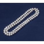 A string of freshwater pearls 84cm long