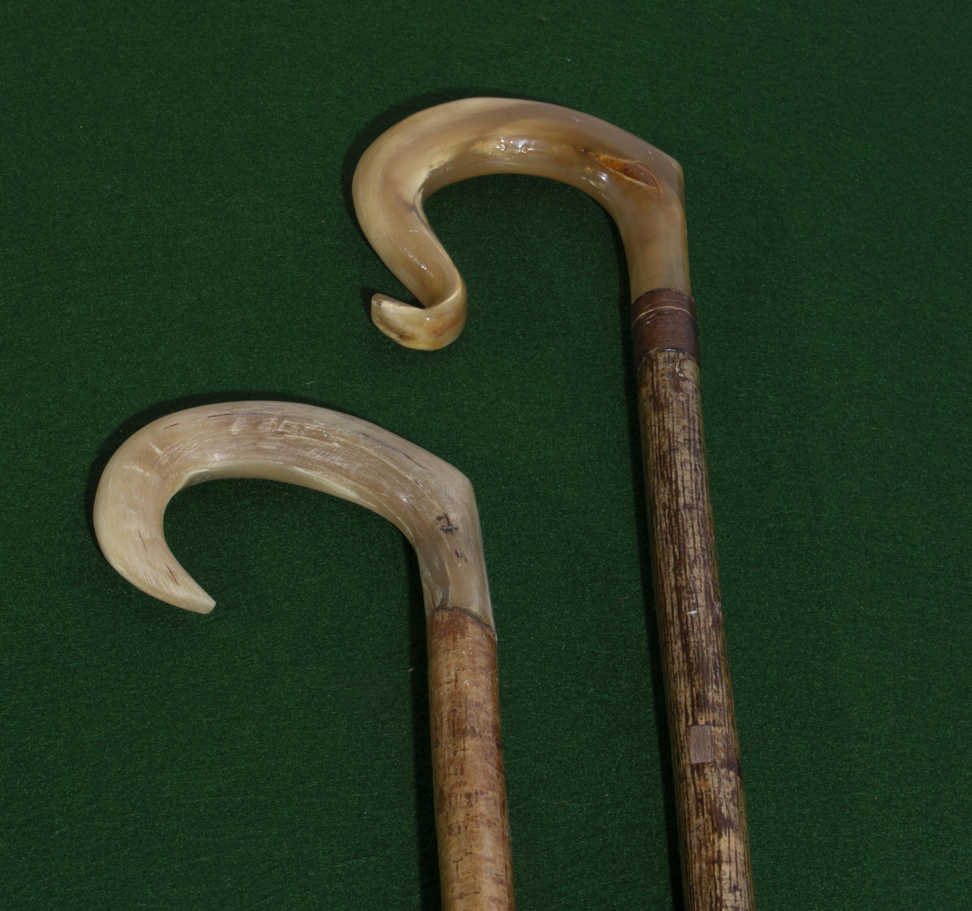 Two horn handled crooks