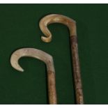 Two horn handled crooks