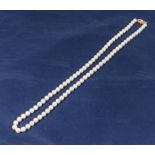A Mikimoto White South Sea Cultured Pearl Strand Necklace 24 inches, 18ct gold clasp, in original