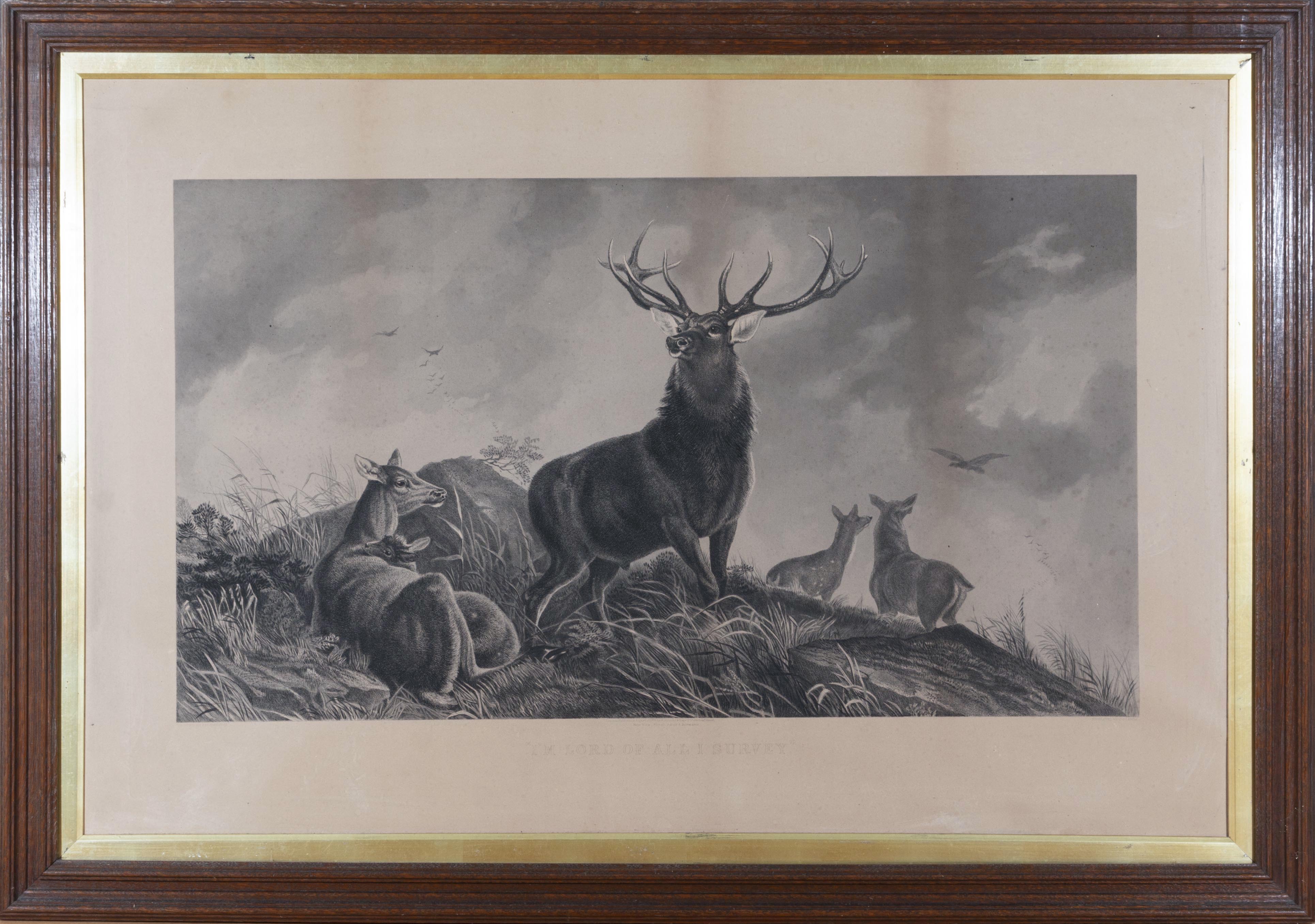 A pair of framed engravings depicting Highland scenes of stags entitled 'Stag at Bay' and 'The - Bild 3 aus 3