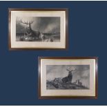 A pair of framed engravings depicting Highland scenes of stags entitled 'Stag at Bay' and 'The