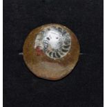 A goniatite fossil brooch