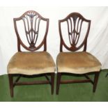Two Hepplelwhite mahogany chairs