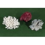 Three large pieces of fossilised coral