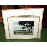 Two framed photographs