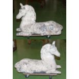 A pair of Victorian reconstituted stone horses.80 cm by 50cm.