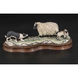 A Border Fine Arts figure of sheep dog ewe and lambs. 12 inches long