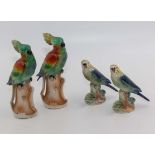 Two pottery parrots and two budgerigars