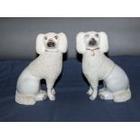 A pair of Staffordshire dogs