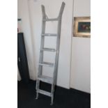 A pair of extending ladders