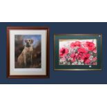 A framed print of a Labrador and one of poppies
