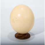 An Ostrich egg mounted on a turned wooden stand