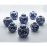 Eight 19th/20th century Chinese blue ground prunus ginger jars