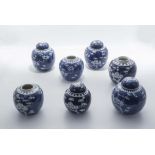 Seven 19th/20th century Chinese blue ground prunus ginger jars