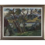 Anne Carrick - framed oil on board 'The Acacia' image size 30cm x 40cm