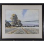 A framed watercolour depicting a rural scene, signed Pam Townsend