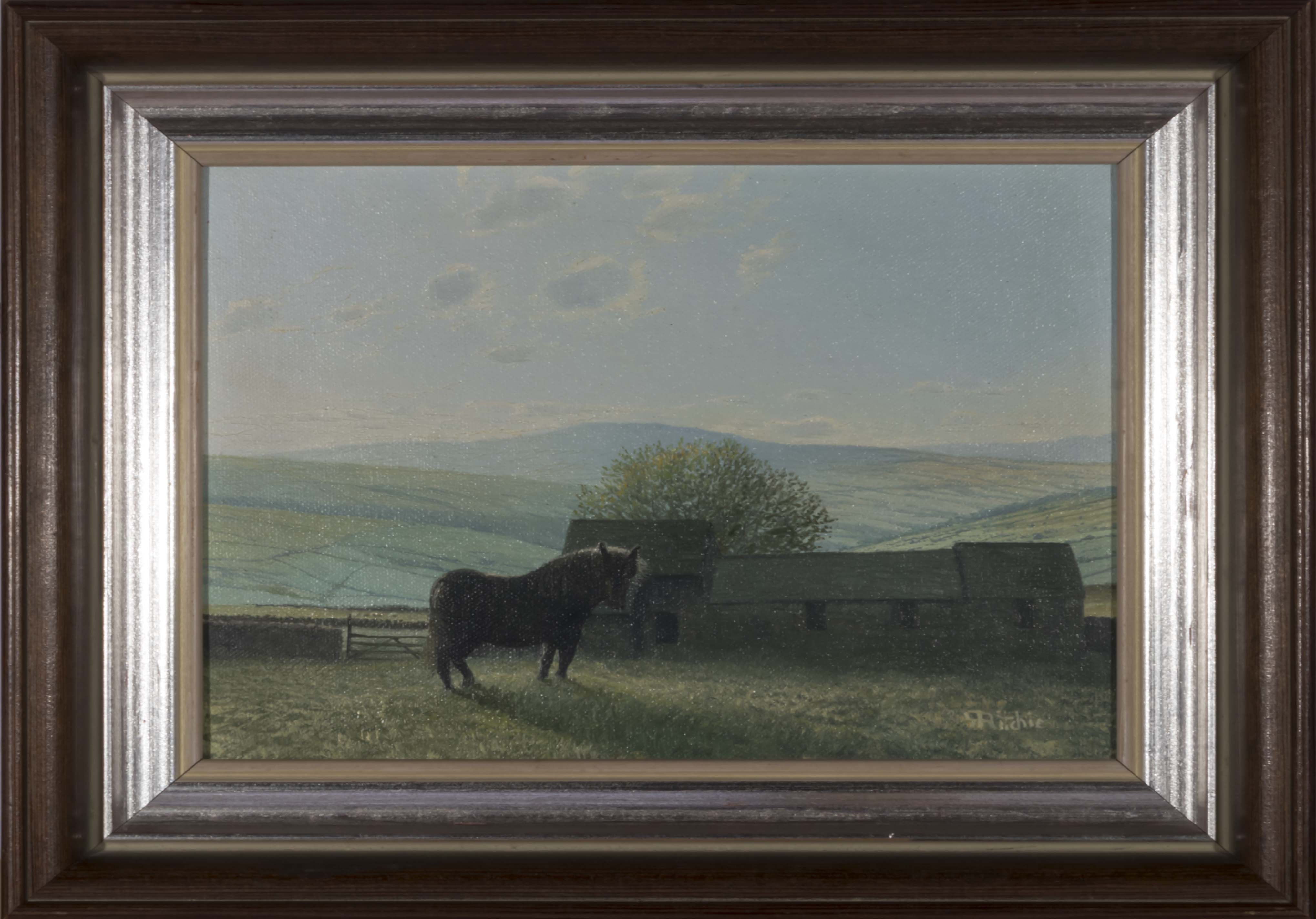 A framed oil on canvas depicting a Scottish Borders scene