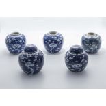 Five 19th/20th century Chinese blue ground prunus ginger jars