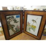 A pair of mid to late 20th century Chinese porcelain plaques, each painted with a bird amongst