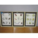 A group of three Guinness Guide to pictures, framed and glazed