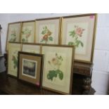 Seven French Redoute rose framed prints, together with an engraving depicting a shipwreck