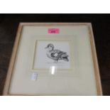 Peter Scott - a female Ring Teal Duck print, 4 1/2" x 4", signed lower right